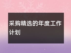 采購(gòu)精選的年度工作計(jì)劃