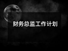 財務總監(jiān)工作計劃