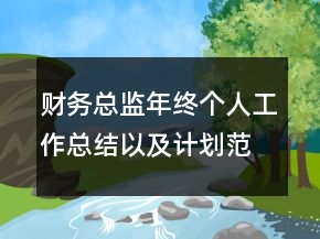 財(cái)務(wù)總監(jiān)年終個(gè)人工作總結(jié)以及計(jì)劃范文