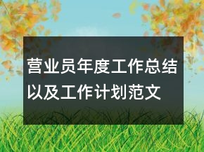 營(yíng)業(yè)員年度工作總結(jié)以及工作計(jì)劃范文