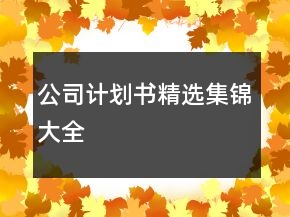 公司計(jì)劃書精選集錦大全