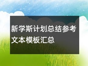 新學(xué)斯計(jì)劃總結(jié)參考文本模板匯總
