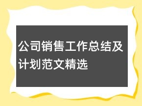 公司銷售工作總結(jié)及計(jì)劃范文精選