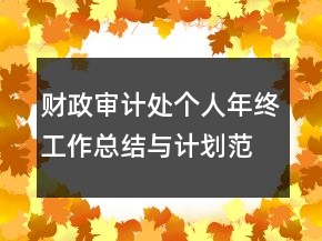 財(cái)政審計(jì)處個(gè)人年終工作總結(jié)與計(jì)劃范文精選