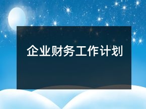 企業(yè)財(cái)務(wù)工作計(jì)劃