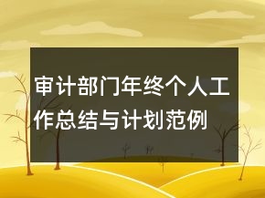 審計部門年終個人工作總結(jié)與計劃范例