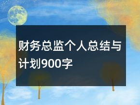 財(cái)務(wù)總監(jiān)個(gè)人總結(jié)與計(jì)劃900字