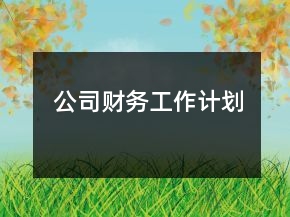 公司財務(wù)工作計劃