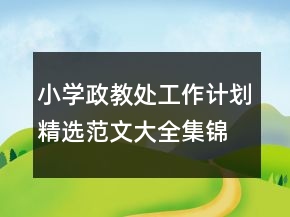 小學政教處工作計劃精選范文大全集錦