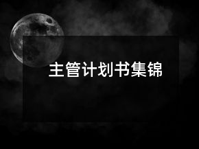 主管計劃書集錦