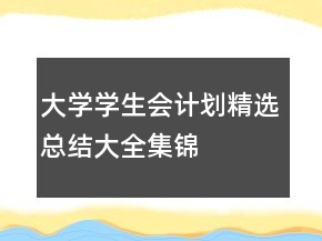 大學學生會計劃精選總結(jié)大全集錦