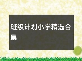 班級計劃小學精選合集