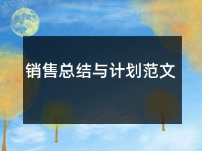 銷(xiāo)售總結(jié)與計(jì)劃范文