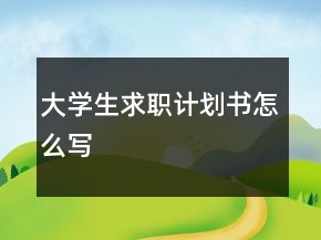 大學(xué)生求職計劃書怎么寫