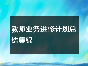教師業(yè)務(wù)進(jìn)修計劃總結(jié)集錦