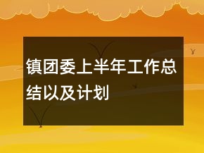 鎮(zhèn)團委上半年工作總結(jié)以及計劃