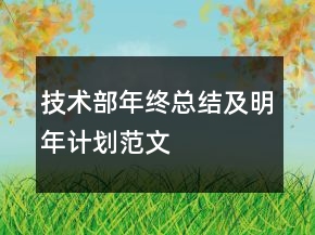 技術(shù)部年終總結(jié)及明年計劃范文