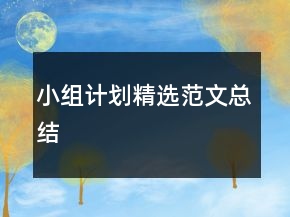 小組計(jì)劃精選范文總結(jié)