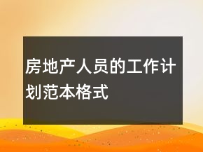 房地產(chǎn)人員的工作計劃范本格式