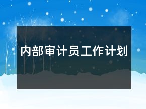 內(nèi)部審計員工作計劃