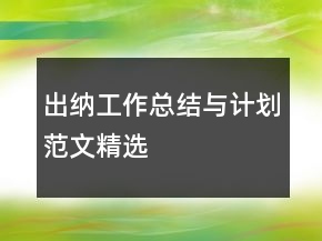 出納工作總結與計劃范文精選
