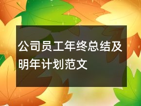公司員工年終總結(jié)及明年計(jì)劃范文