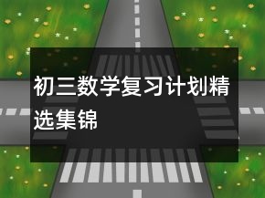 初三數(shù)學(xué)復(fù)習(xí)計劃精選集錦