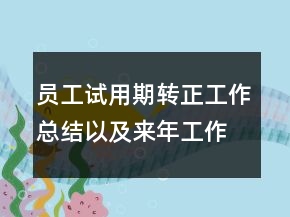 員工試用期轉正工作總結以及來年工作計劃范文
