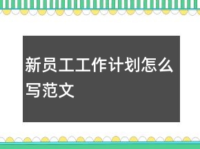 新員工工作計劃怎么寫范文