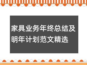 家具業(yè)務(wù)年終總結(jié)及明年計(jì)劃范文精選