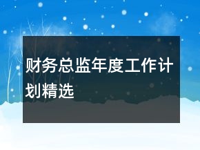財務(wù)總監(jiān)年度工作計劃精選