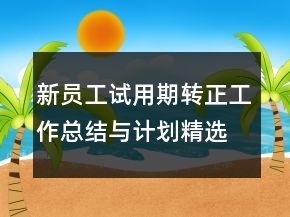 新員工試用期轉(zhuǎn)正工作總結(jié)與計劃精選