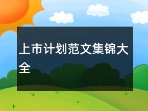 上市計(jì)劃范文集錦大全