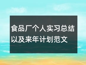 食品廠個人實習(xí)總結(jié)以及來年計劃范文