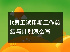 it員工試用期工作總結(jié)與計(jì)劃怎么寫(xiě)
