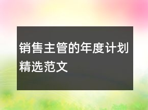 銷售主管的年度計劃精選范文