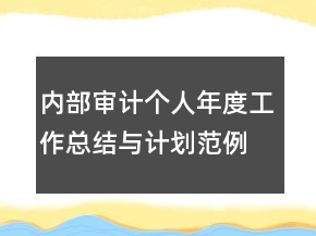 內部審計個人年度工作總結與計劃范例