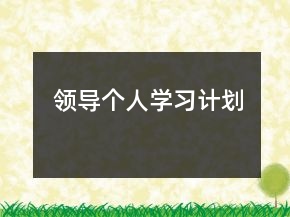 領(lǐng)導(dǎo)個(gè)人學(xué)習(xí)計(jì)劃