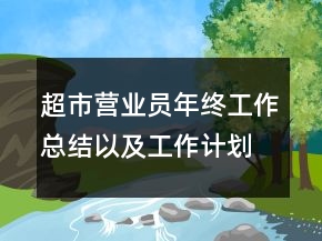 超市營業(yè)員年終工作總結(jié)以及工作計(jì)劃范文