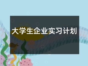 大學(xué)生企業(yè)實習(xí)計劃