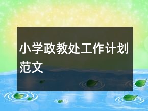小學(xué)政教處工作計劃范文