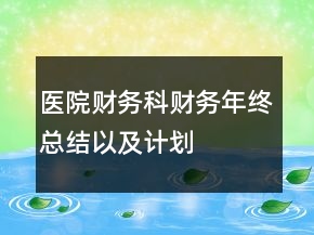 醫(yī)院財務(wù)科財務(wù)年終總結(jié)以及計劃