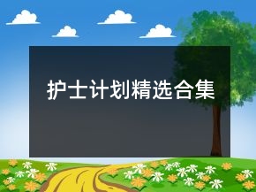 護(hù)士計(jì)劃精選合集