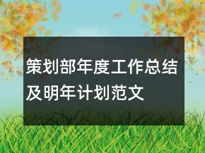 策劃部年度工作總結(jié)及明年計(jì)劃范文