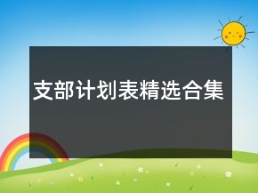 支部計(jì)劃表精選合集