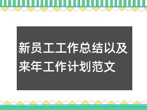 新員工工作總結(jié)以及來(lái)年工作計(jì)劃范文