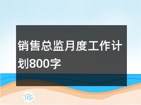 銷售總監(jiān)月度工作計劃800字