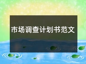 市場調(diào)查計劃書范文