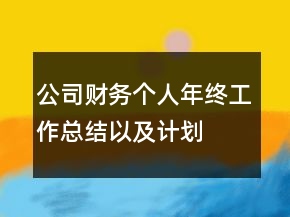 公司財務(wù)個人年終工作總結(jié)以及計劃