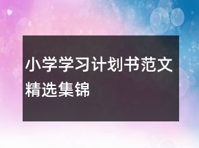 小學(xué)學(xué)習(xí)計(jì)劃書(shū)范文精選集錦